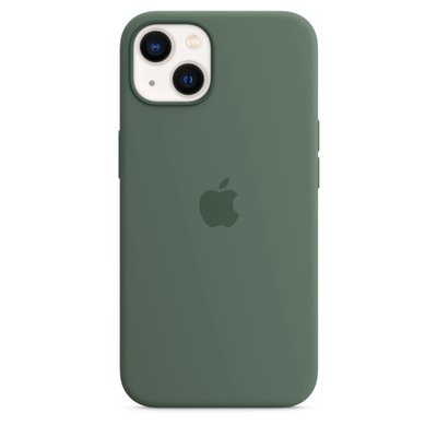 Чехол Apple iPhone 13 Silicone Case with MagSafe - Eucalyptus (MN633) MN633 фото